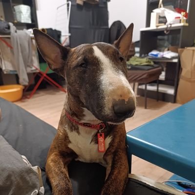 dogsunderhood's profile picture. Автор недели —@fruaquavit | Я ❤️ свою собаку | каждую неделю у нас новый автор | запись на 4 квартал открыта!