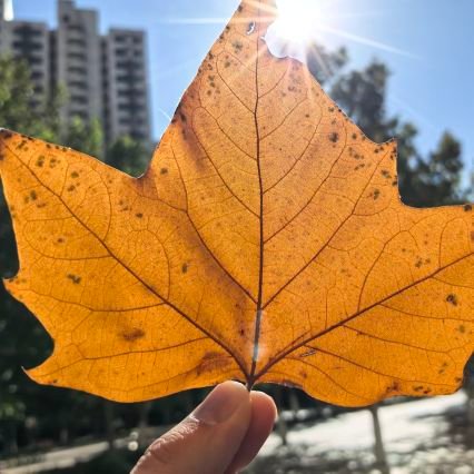 YeGeClub's profile picture. 🏠Domain name investor
🐯https://t.co/IDTPn6yuEj，https://t.co/d4MJiQY4MI，https://t.co/mcGZrXouG3，https://t.co/207u78hudb，https://t.co/6lsqQEfSZb