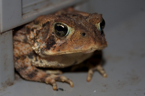 fred_steinberg's profile picture. 