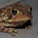 Fred - @fred_steinberg - Twitter