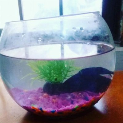 ROZIOMONI's profile picture. Rock, fútbol, le voy al León, tatuajes, guitarra, inglés, psicología, básquet, le voy a las Abejas.