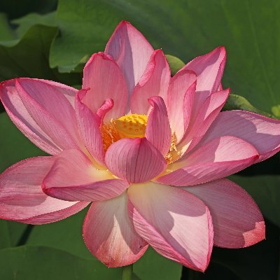 elea200267's profile picture. 