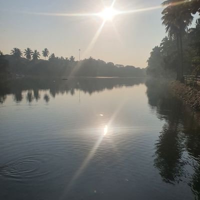 Dev51480's profile picture. 