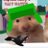 woofinwilardos's profile image