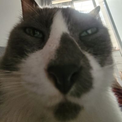 RasyadAridzal's profile picture. Dedicated to Indonesian Football.