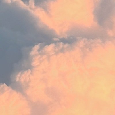 ___momimomi's profile picture. 🔕/腐🔞/grbl(ﾊﾟｰｼﾞｸ)/gndm