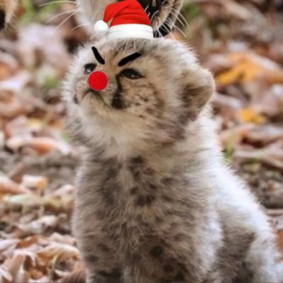 clsumra_1231's profile picture. 안경 미인 모에화 장인
~름비네흥신소~ 까먹은 강재썰 찾아드립니다 
https://t.co/gf1q9HivAm