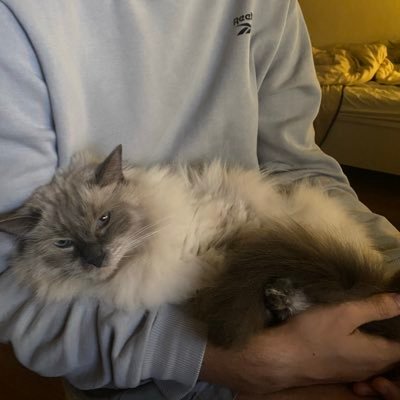 feanhere's profile picture. 