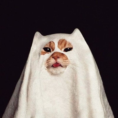 MRTA_MINTT's profile picture. 🌟💎
🌎 🌊
🐈‍⬛🐥