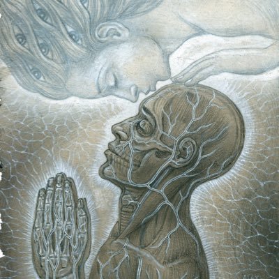 neverprocess's profile picture. 