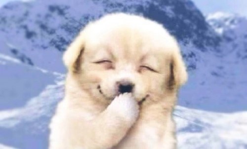 chubbablemin's profile picture. 