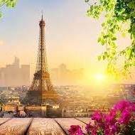 Ekramulll57's profile picture. 