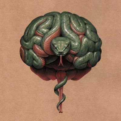 CrypticMindAura's profile picture. 