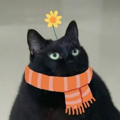 csui's profile picture. houdini artist

lead editor @av8faction @blankeditors @ALLSTARSTUDlO