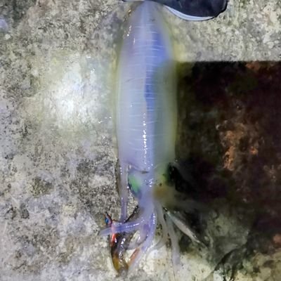 LqO3BWHoqV14141's profile picture. 