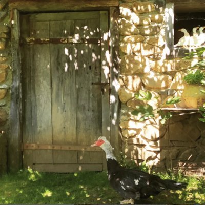 PatrimoineRural's profile picture. Sauvegardons nos villages, nos terres et notre mémoire rurale. Préservons l’âme de nos paysages : bâtis anciens, traditions et savoir-faire.