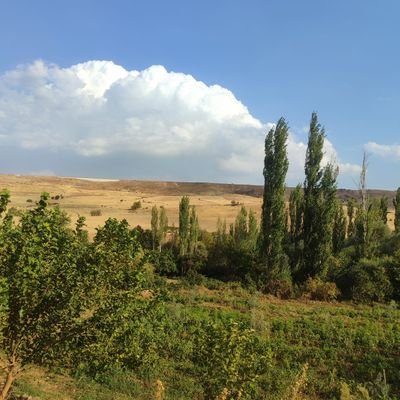 Kenanaksoy92114's profile picture. 