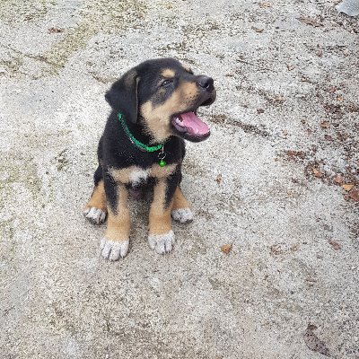 pey_nik's profile picture. 