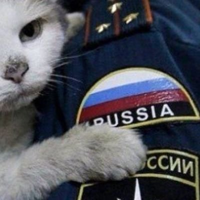 Aljoscha180566's profile picture. Die Menschen werfen sich im Politischen wie auf dem Krankenlager von einer Seite zur andern, in der Meinung besser zu liegen.