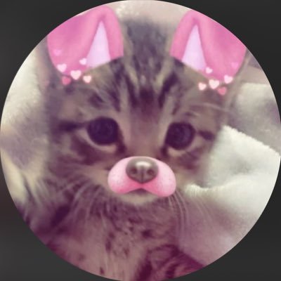 bambiiquacks's profile picture. C:\Users\Choccy\Cosplayer 🖤 @choccyychip