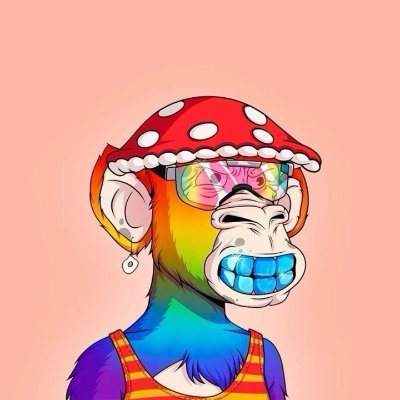 whaaleyzsslam's profile picture. Scaling blockchain solutions for global challenges.