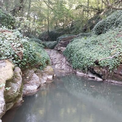 EfosR49481's profile picture. ☝️İnandığınız gibi yaşamıyorsanız, yaşadığınız gibi inanmaya başlarsınız.

 Ömer (r.a)☝️Tehvid