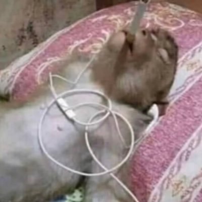 leejungha's profile picture. 갈건데. 어디로가면되노