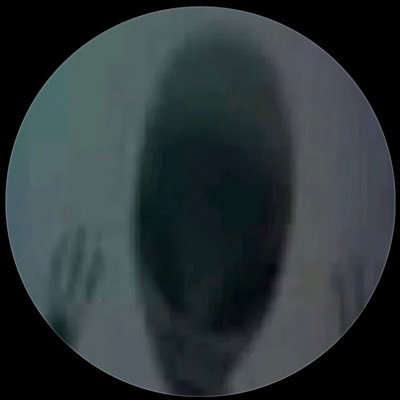 Pedronuelami's profile picture. 