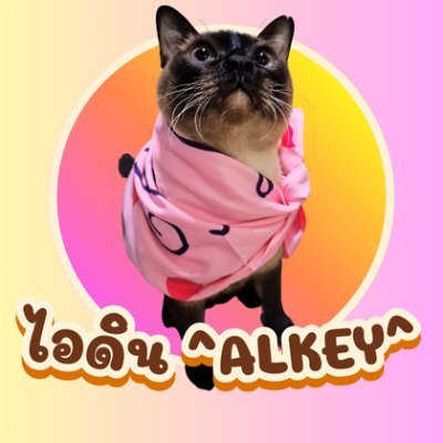 giff_ted's profile picture. ถ่ายหมดไม่สนลูกใคร☘️📸
🩷🧡💛💚💙🩵💜❤️
#ginnynatnicha #aangelinaass 
#GinJ #GinnyJayna