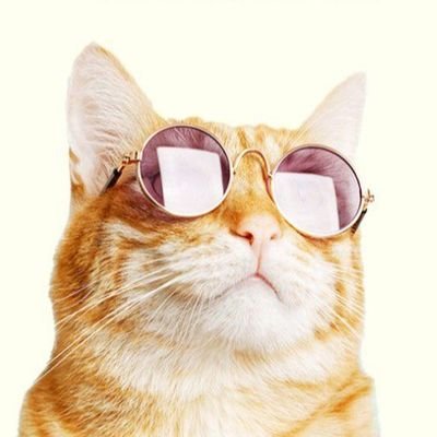 Cheese_Cassava's profile picture. 💎 🟥🟩🟩🟩 💎