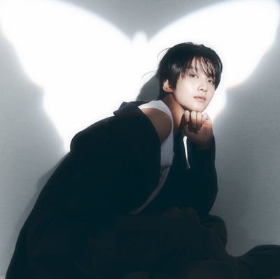 2seokisses's profile picture. fanacc | hunter | using mobile data & wifi