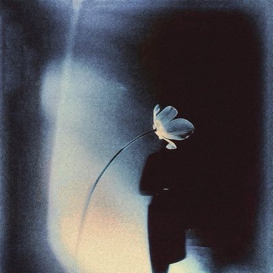 _shahadxi's profile picture. https://t.co/I1TwHcnN7r