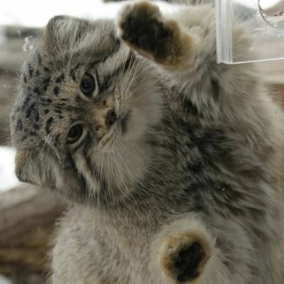 _lilyxzs's profile picture. 