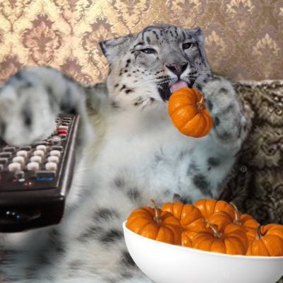 von_shibaa's profile picture. remember me.🌌 I LOVE SNEPS!!