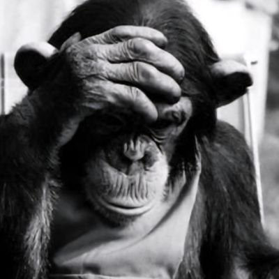 pytrasbabapro's profile picture. 