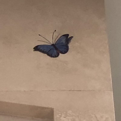 gim_i34903's profile picture. 독서계