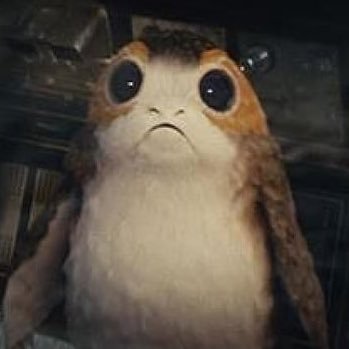 sallythepunk's profile picture. i like pressing buttons