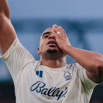 Classic__Forest's profile picture. Just classic Forest int it.