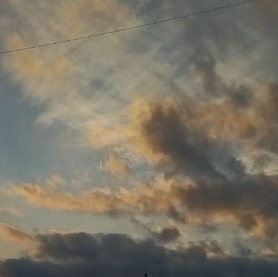 COFpJ9D0nU12417's profile picture. 