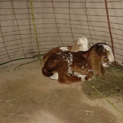 watchbase_'s profile picture. Yoo