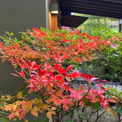 M_Mitsu3's profile picture. 