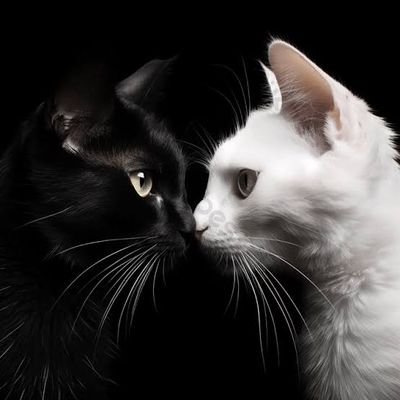 _LalalaKkkim's profile picture. Sometimes when i close my eyes, i can't see. || works at wembley