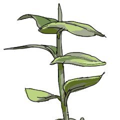 p4w1w9iLES17913's profile picture. 77です
skeb https://t.co/KUw0yj1dNX
odaibaco https://t.co/F3RsN1sYoS