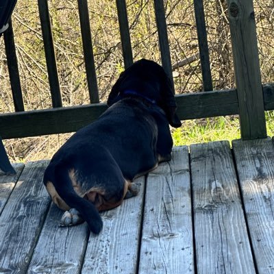 Joealexis116's profile picture. 