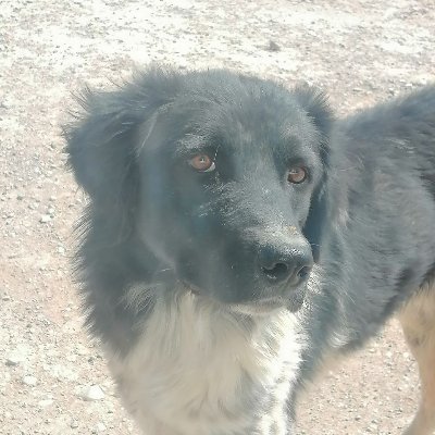 krkr167961's profile picture. follow = follow
Like = Like
Iran
🟩🟩🟩🟩🟩🟩
⬜⬜🦁☀️⬜⬜
🟥🟥🟥🟥🟥🟥