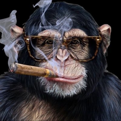 W5KJD's profile picture. 