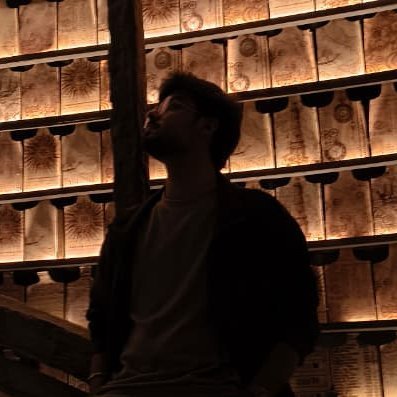 bos0nN's profile picture. RL & Robotics, undergrad. Building cool stuff that shouldn't work, FPGAs & GPUs, ocassional rustacean