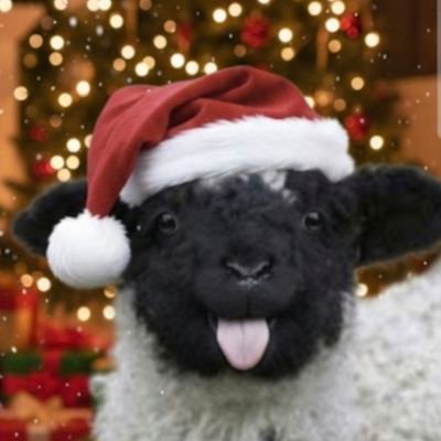 SUSY811922's profile picture. AVISO:  plagiaron mi cuenta: @SUSY8ll922  y    @susy81l922,  ambas ya SUSPENDIDAS   eran de una troll podemita.
GRACIAS  😊❤️👍