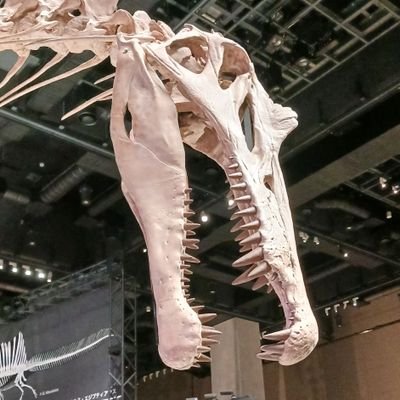 dj_vide's profile picture. to thd eden organizer

Thanks