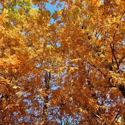 Jc6XeTIrys78600's profile picture. 